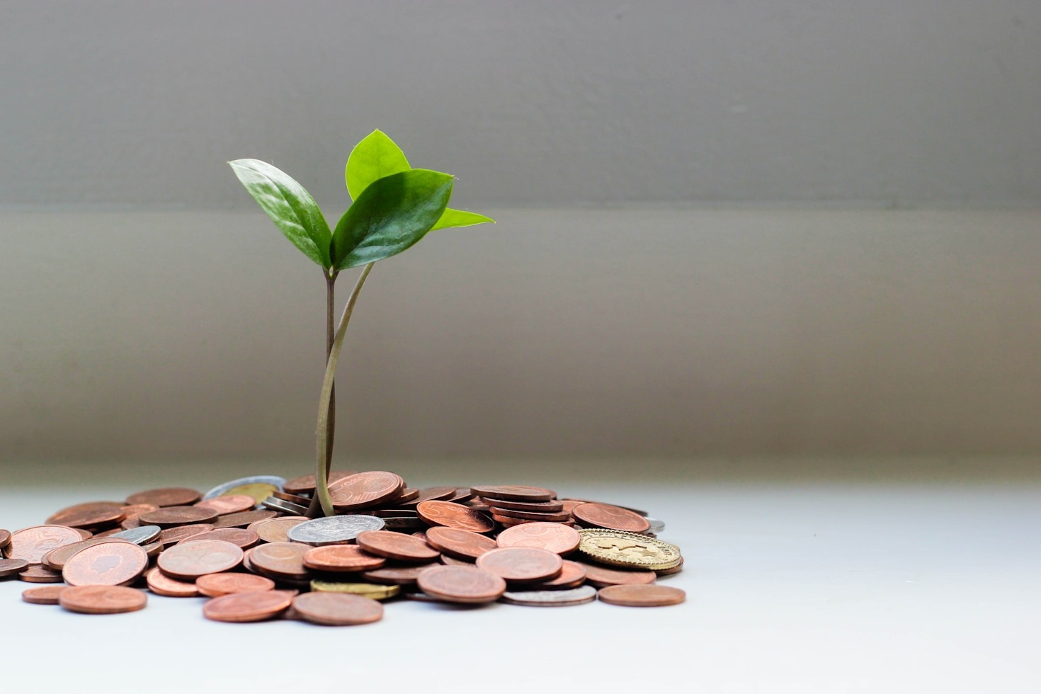 The Role of Community in Shaping Tomorrow
