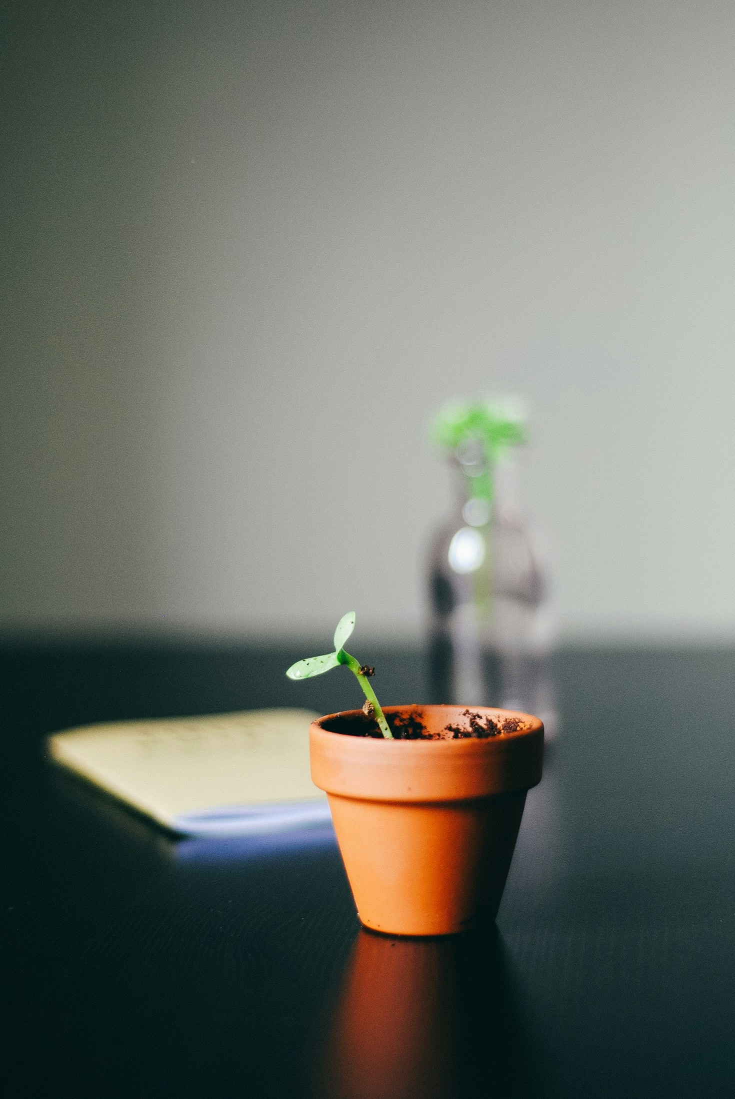 Investing in Local Talent: A Path to Success
